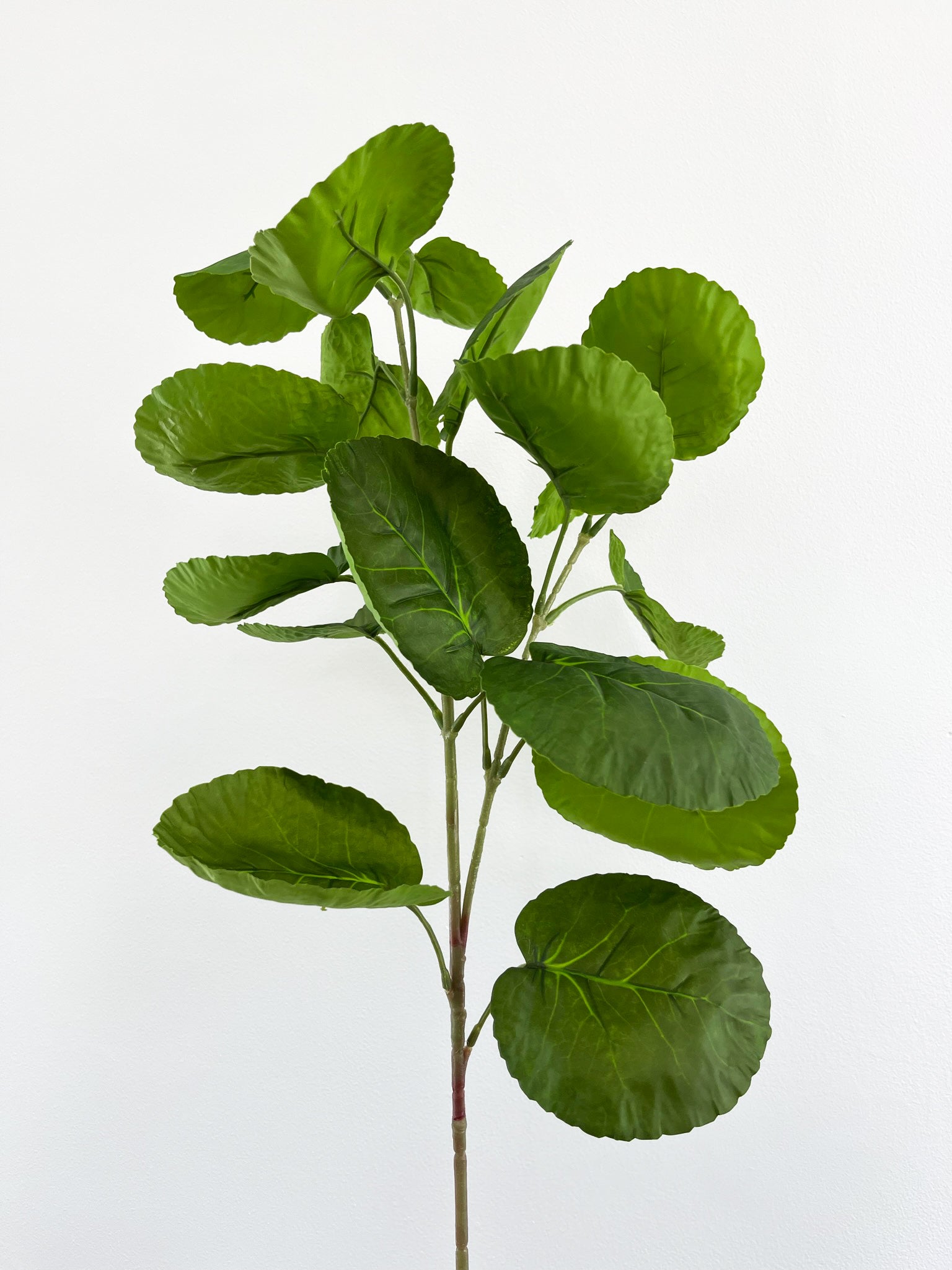 Green Leaves