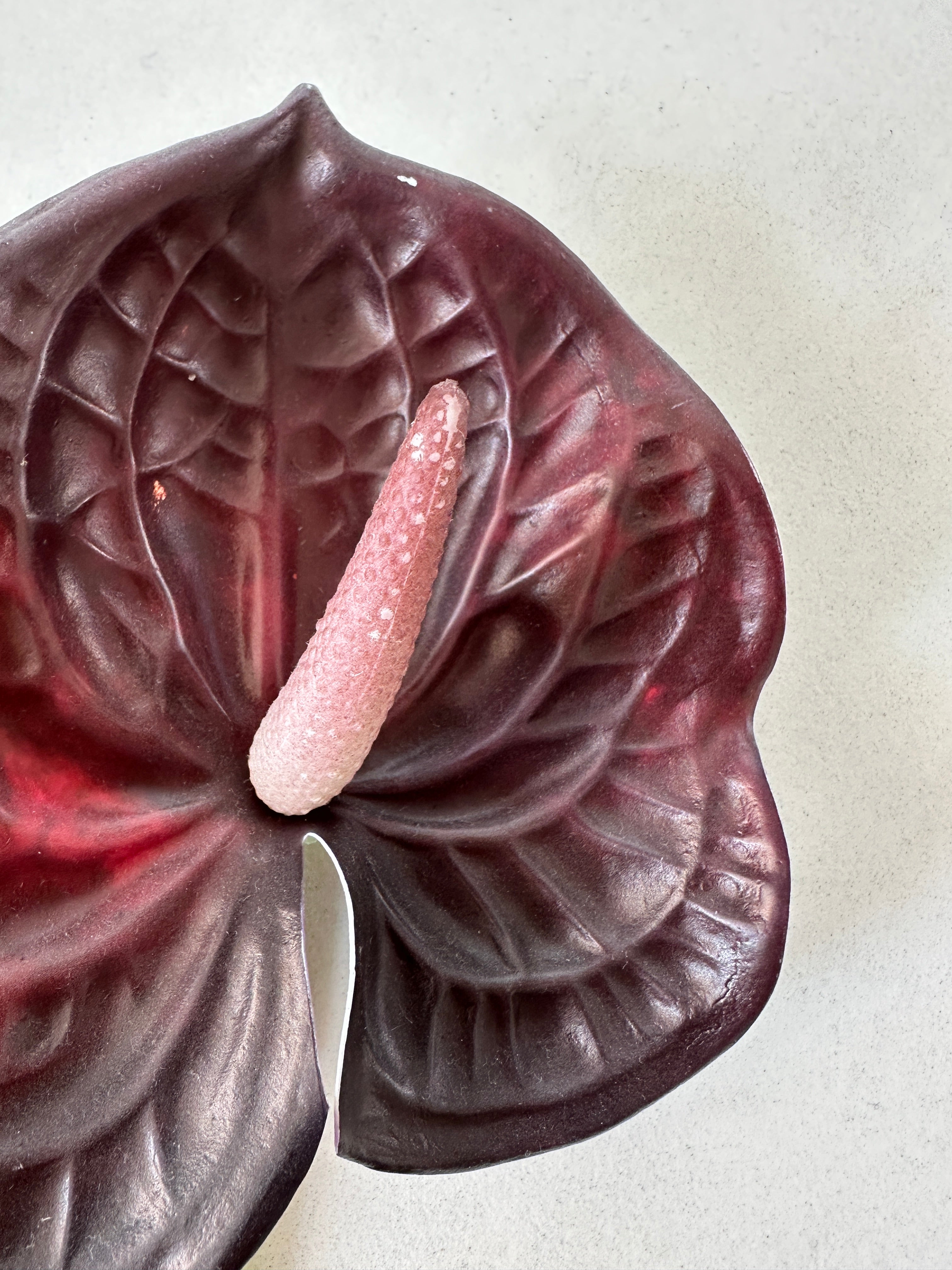 2. sortering - Bordeaux Anthurium