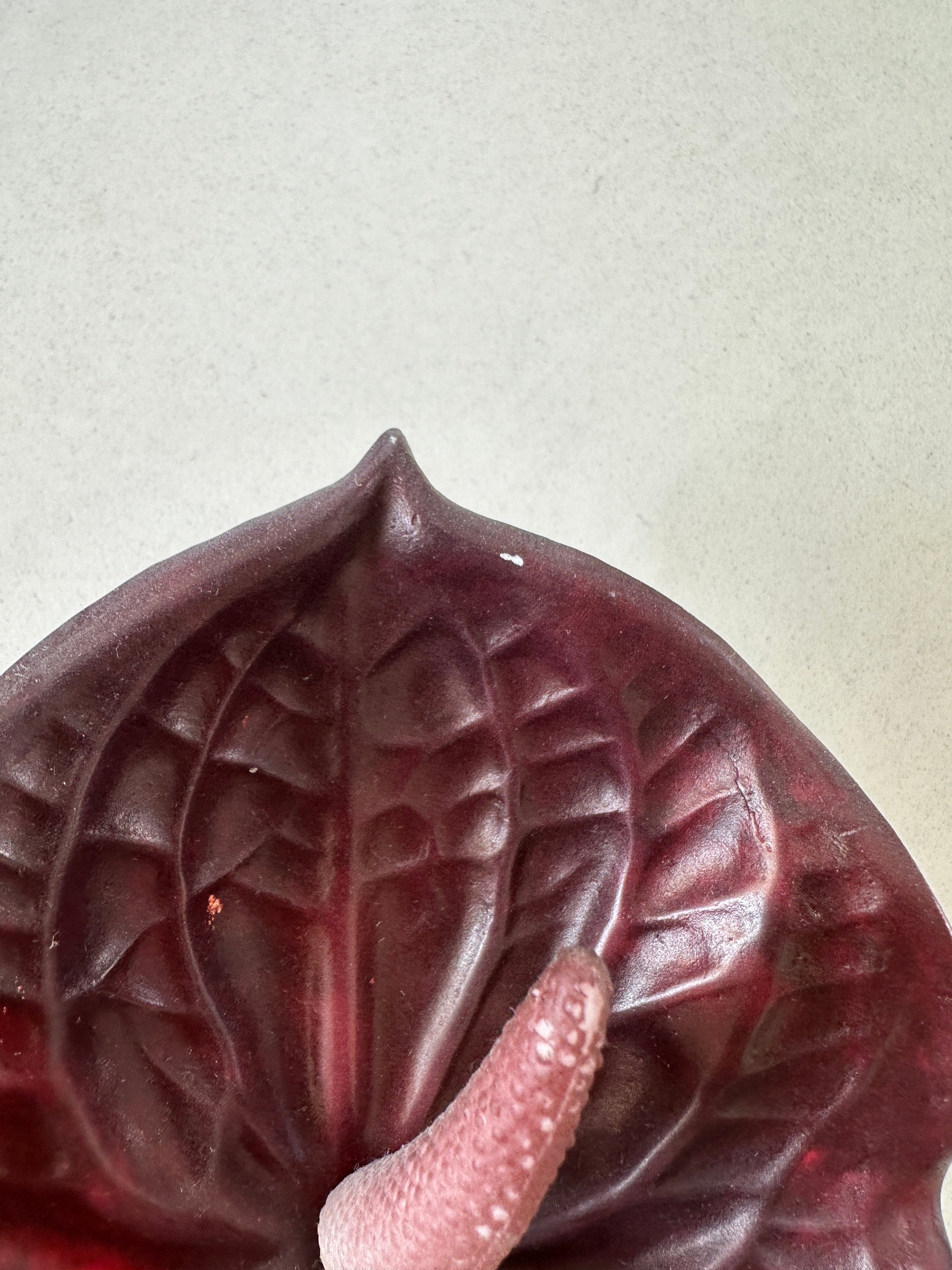 2. sortering - Bordeaux Anthurium