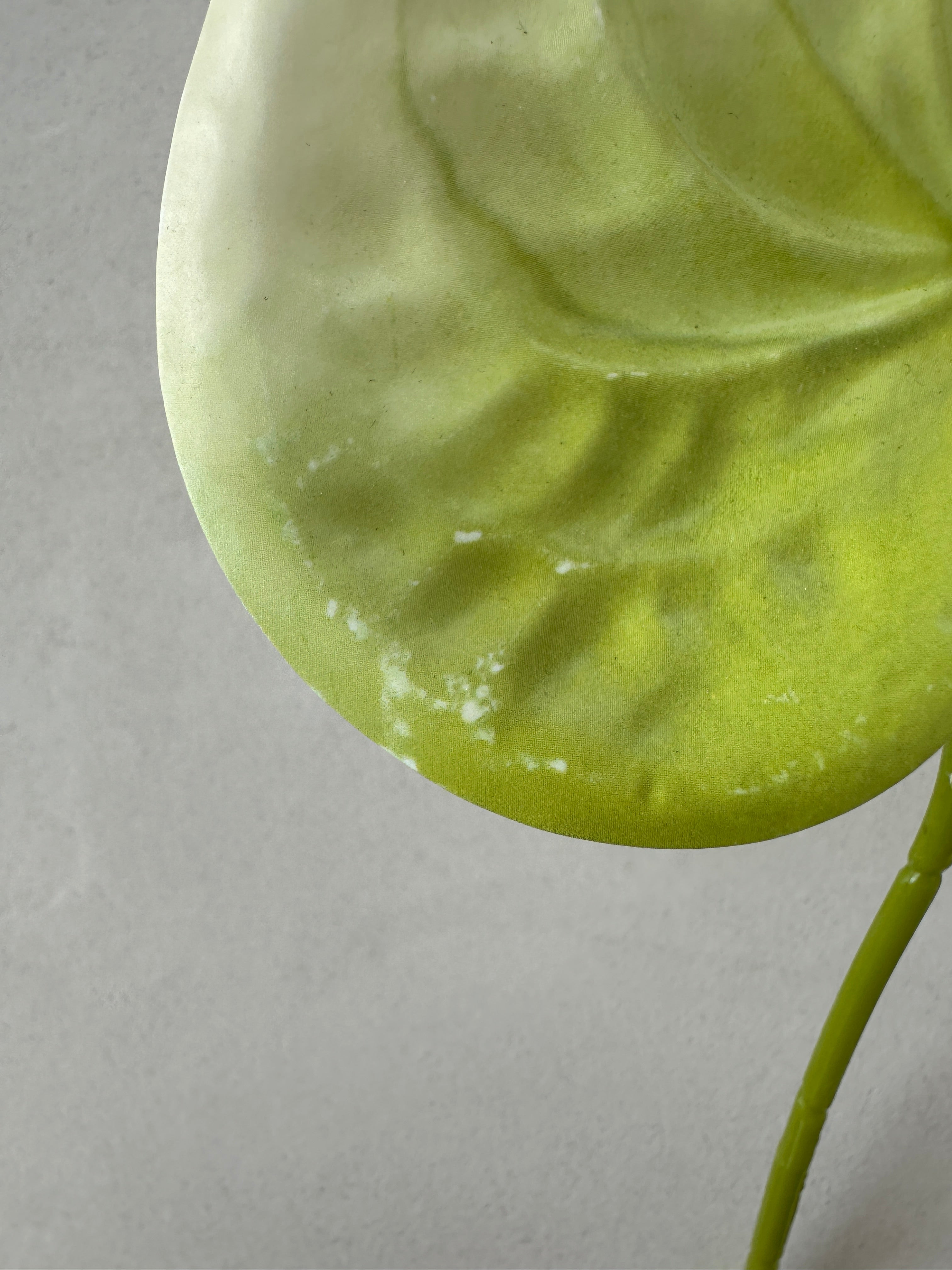 2. sortering - Green Anthurium