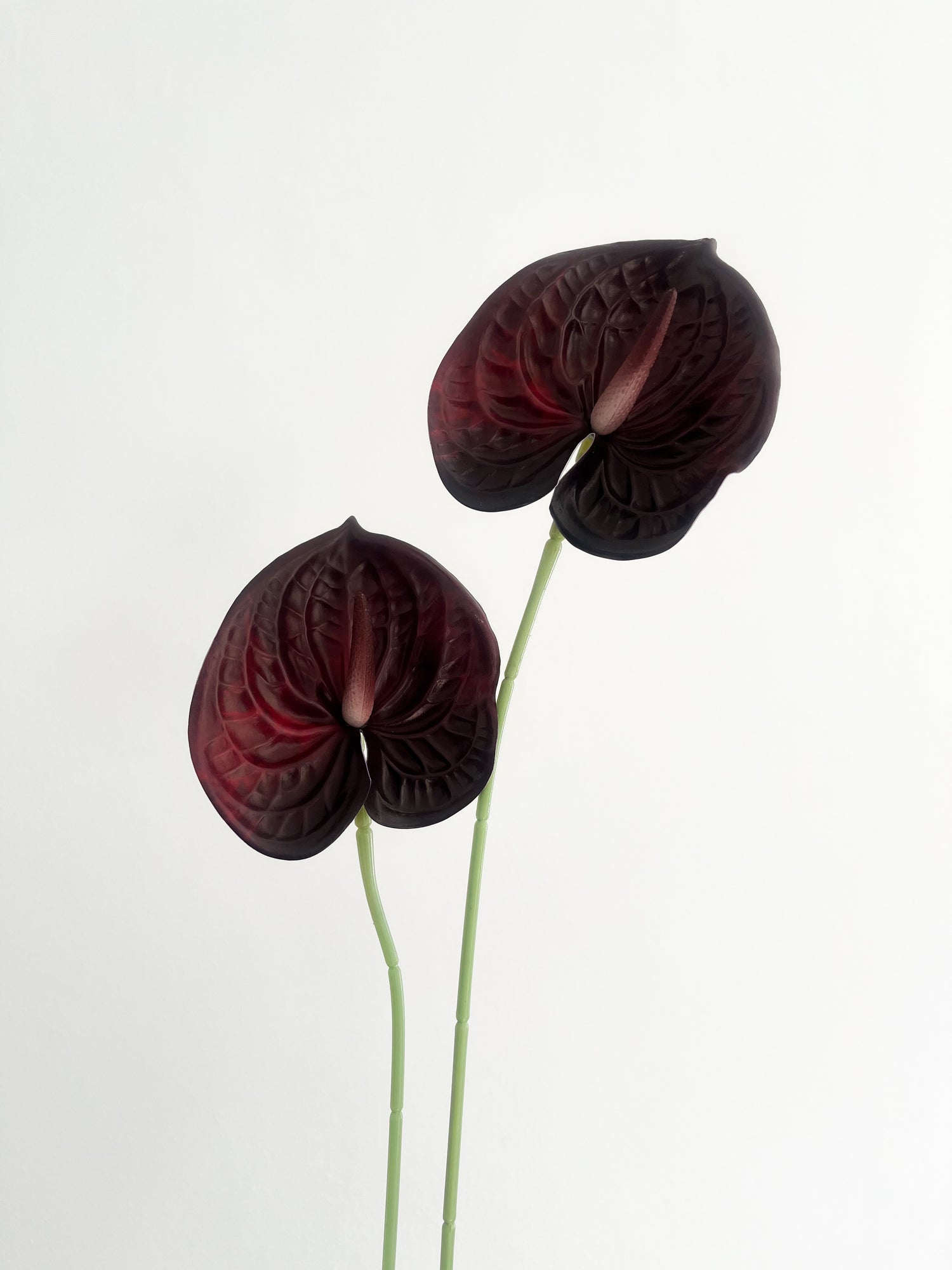 anthurium bordeaux Artificial Flowers, Bordeaux Anthurium⎢Kant Living