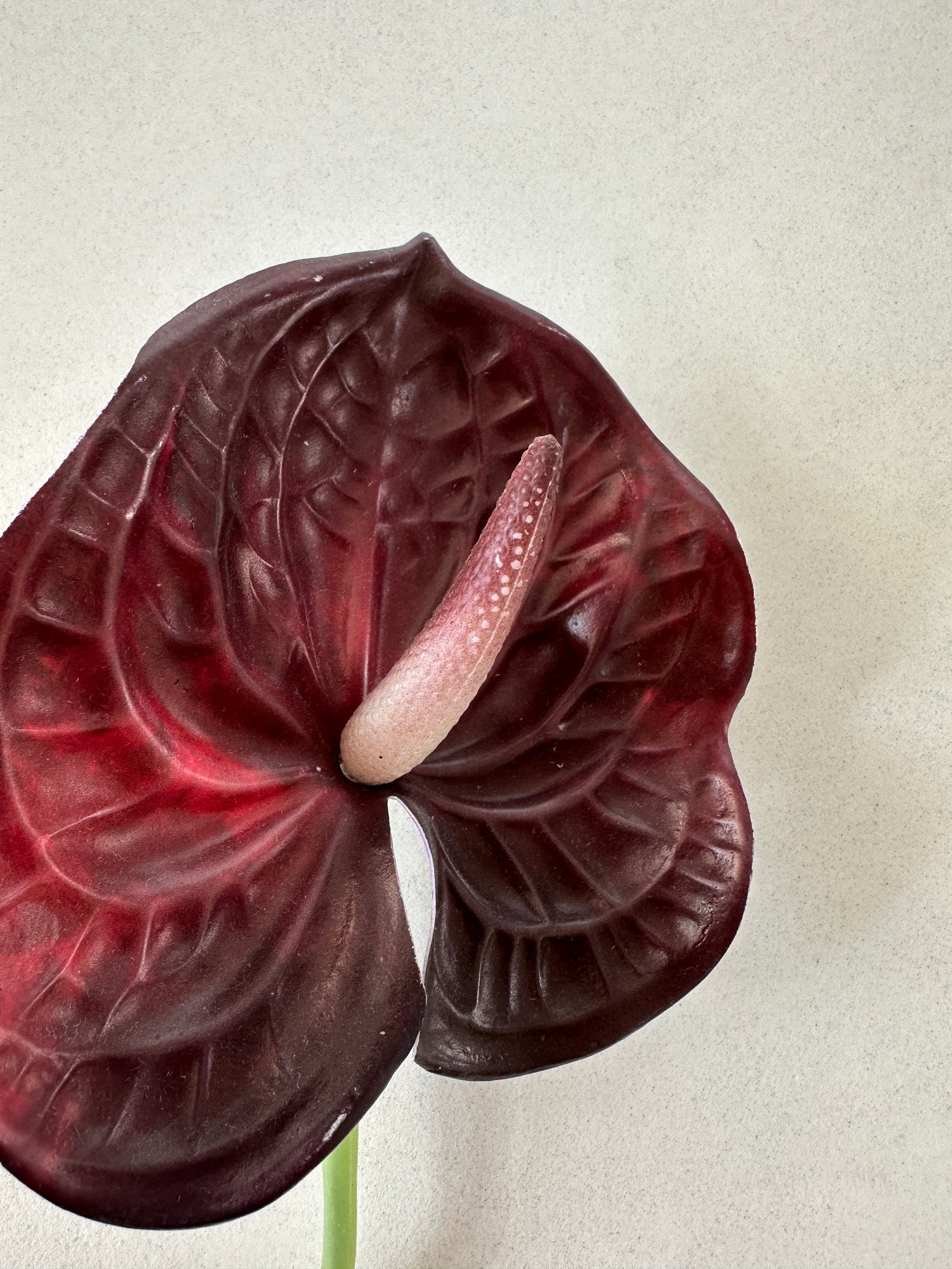 anthurium bordeaux Artificial Flowers, Bordeaux Anthurium⎢Kant Living