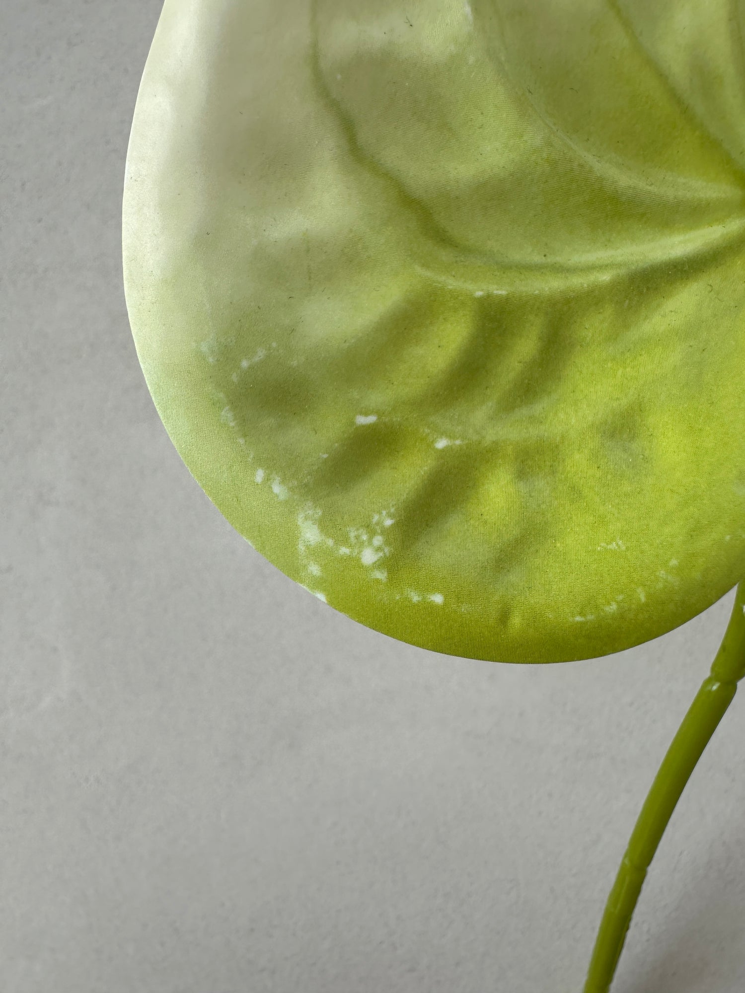 2. sortering - Green Anthurium