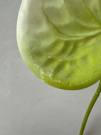 2. sortering - Green Anthurium